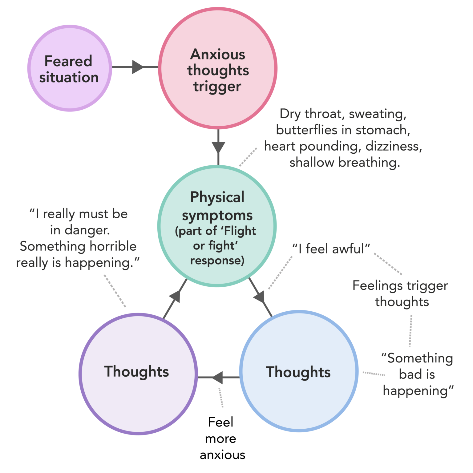 the-vicious-cycle-of-anxiety-mindwell